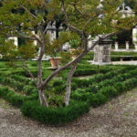 Una parte del giardino di Villa Corsi Salviati